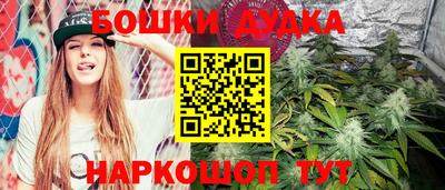 гидропоника Аша